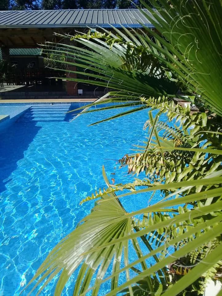 Cabanas Y Boungalow Don Oscar Hotel Encarnación Eksteriør billede